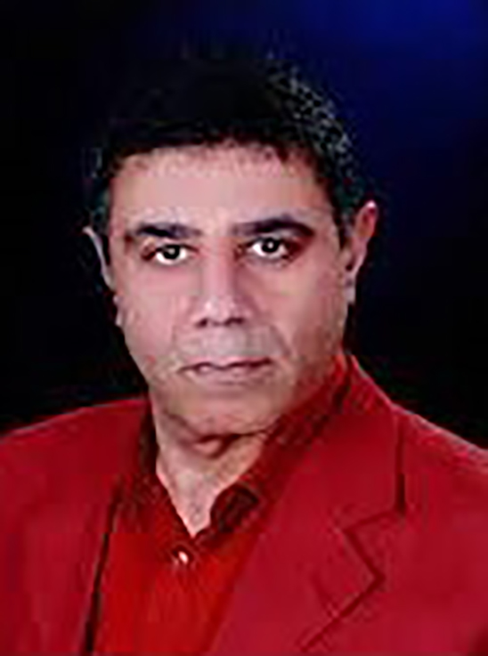 محمد حسين أبو العلا
